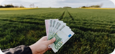 Hand hält Euro-Geldscheine auf einem Feld